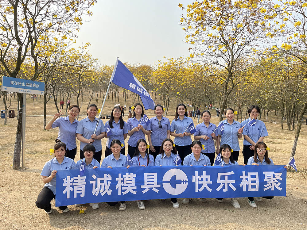 踏青賞花     凡榮（精誠(chéng)）模具喜迎三八國(guó)際婦女節(jié)